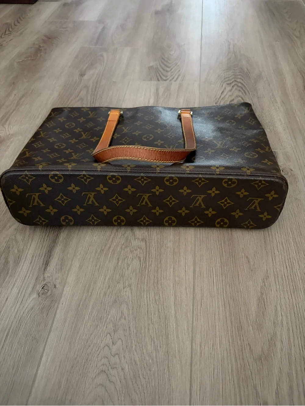 Louis Vuitton large louis
